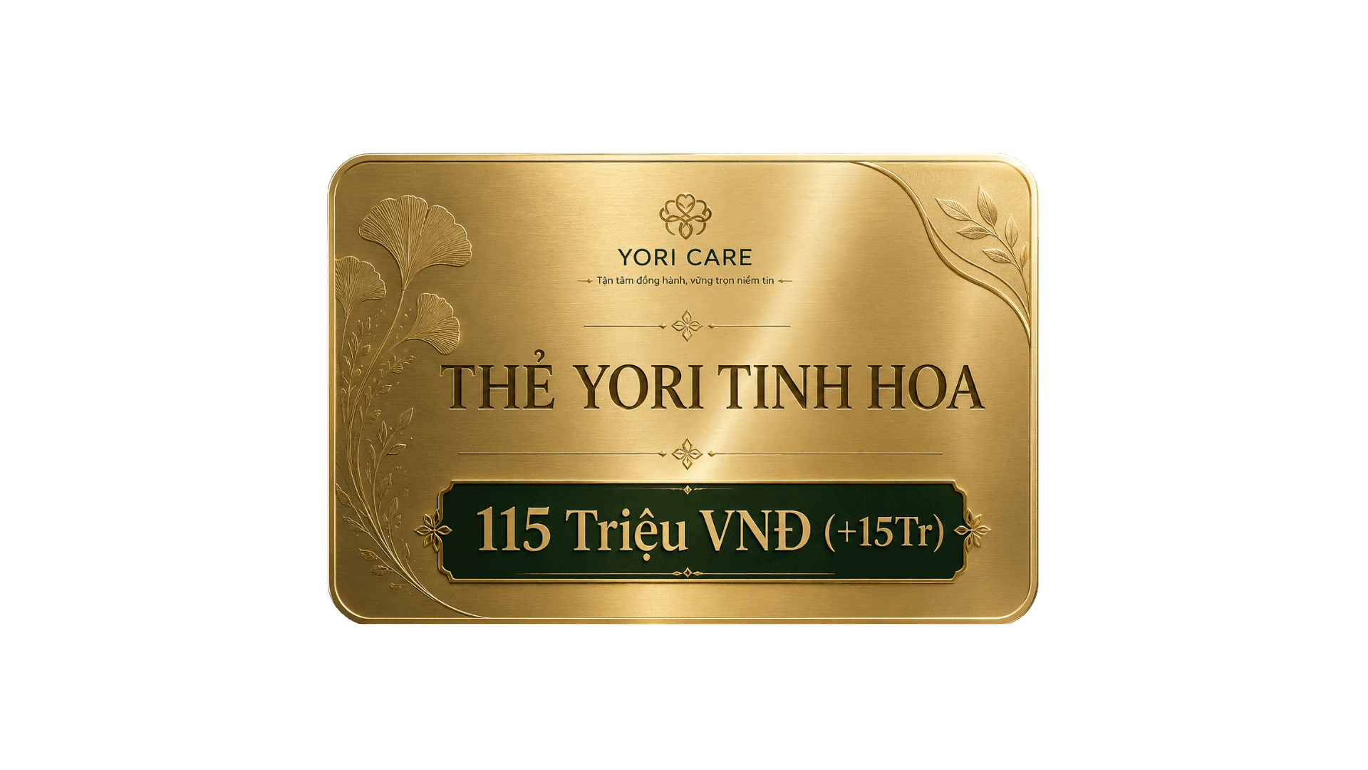 Yori Tinh Hoa